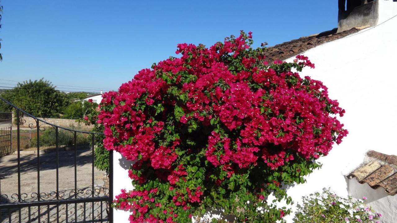 הוילה Olhão Casa Esperanca - Carefree Living With Big Private Pool And Great Views מראה חיצוני תמונה
